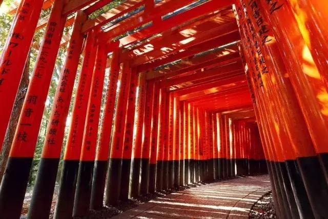 你知道FGO里的这些礼装来源是何处吗?(五)