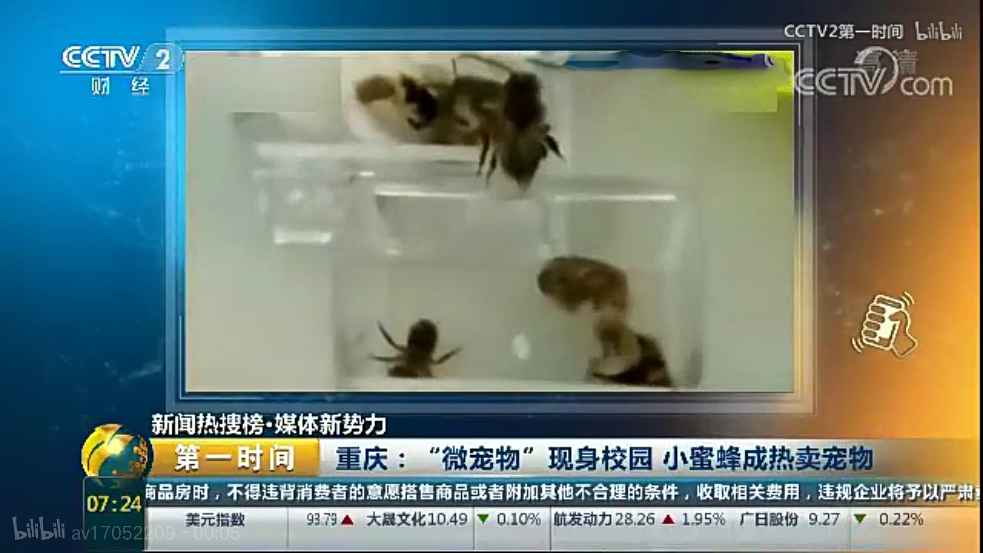 盘点小学生在学校里养的奇葩宠物,小学生小型宠物10元以下