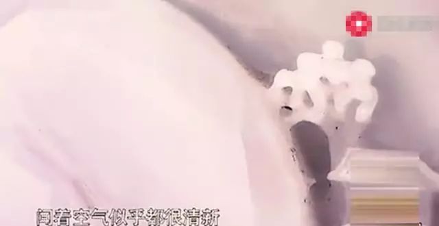 古代鉴宝王刚视频,鉴宝专家王刚原视频