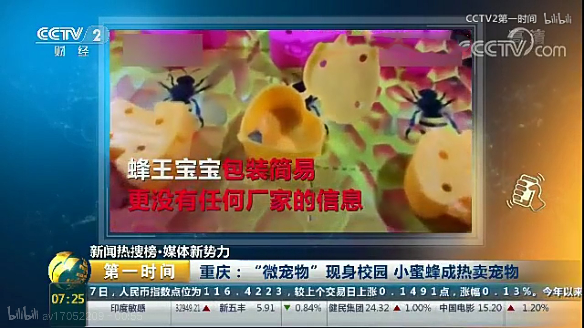 盘点小学生在学校里养的奇葩宠物,小学生小型宠物10元以下