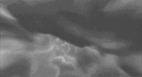 万万没想到！它低调了450多年，却因上海迪士尼一夜间火遍全国！