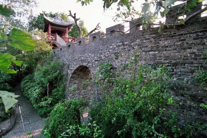 万万没想到！它低调了450多年，却因上海迪士尼一夜间火遍全国！