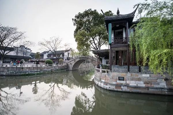 万万没想到！它低调了450多年，却因上海迪士尼一夜间火遍全国！