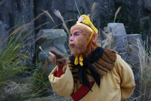 孙悟空最怕的十件法宝,孙悟空法术的使用