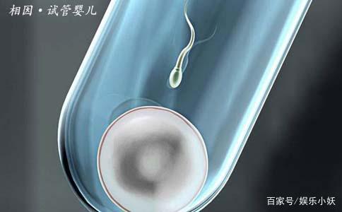 患者经验分享:广州试管婴儿详细流程