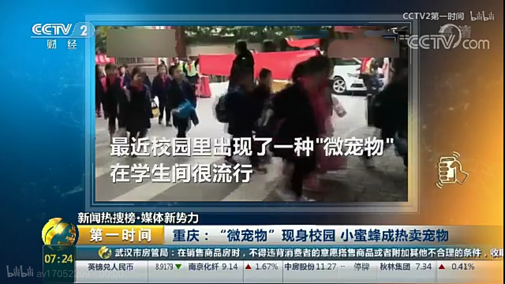 盘点小学生在学校里养的奇葩宠物,小学生小型宠物10元以下