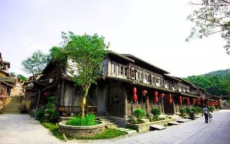 万万没想到！它低调了450多年，却因上海迪士尼一夜间火遍全国！