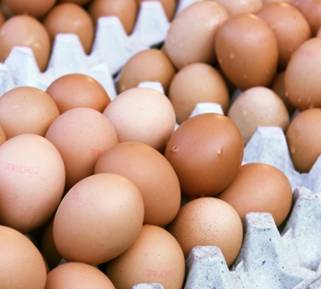 土鸡蛋草鸡蛋区别,土鸡蛋鲜鸡蛋散养鸡蛋哪个好吃