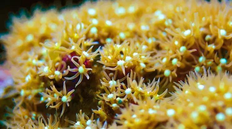 加拿大外星酒店,国外外星酒店