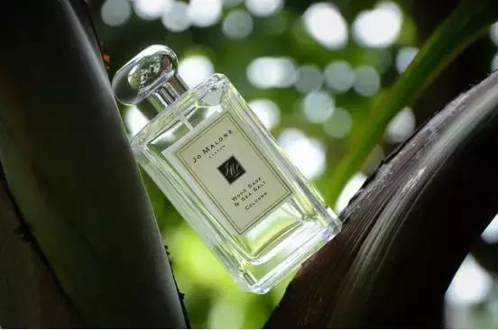 从大牌到平价15款最爱的香水推荐,经典香水推荐平价秋冬