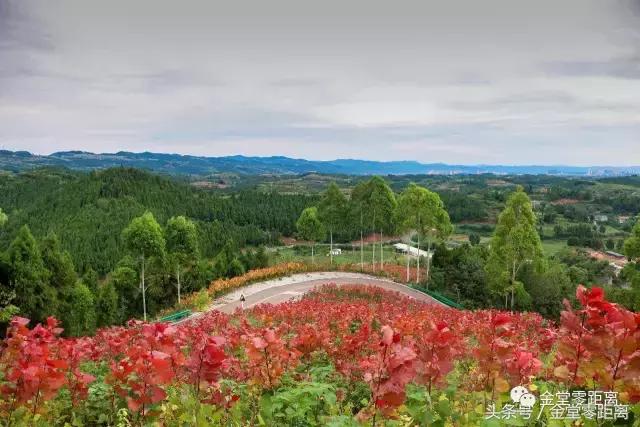 国家森林康养基地示范县,国家级全域森林康养试点建设县