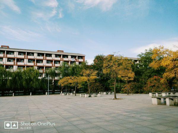 iphone换安卓手机感受,从iphone换到安卓有哪些不适应