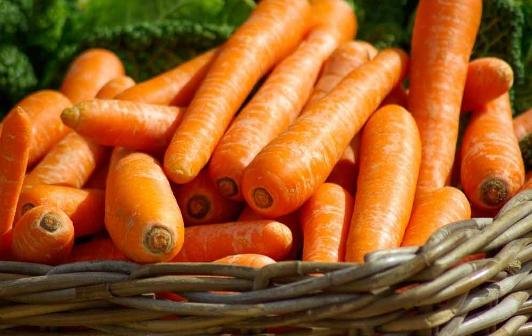 最补血的竟然不是阿胶,红枣,真正的补血圣品原来是它!你知道吗