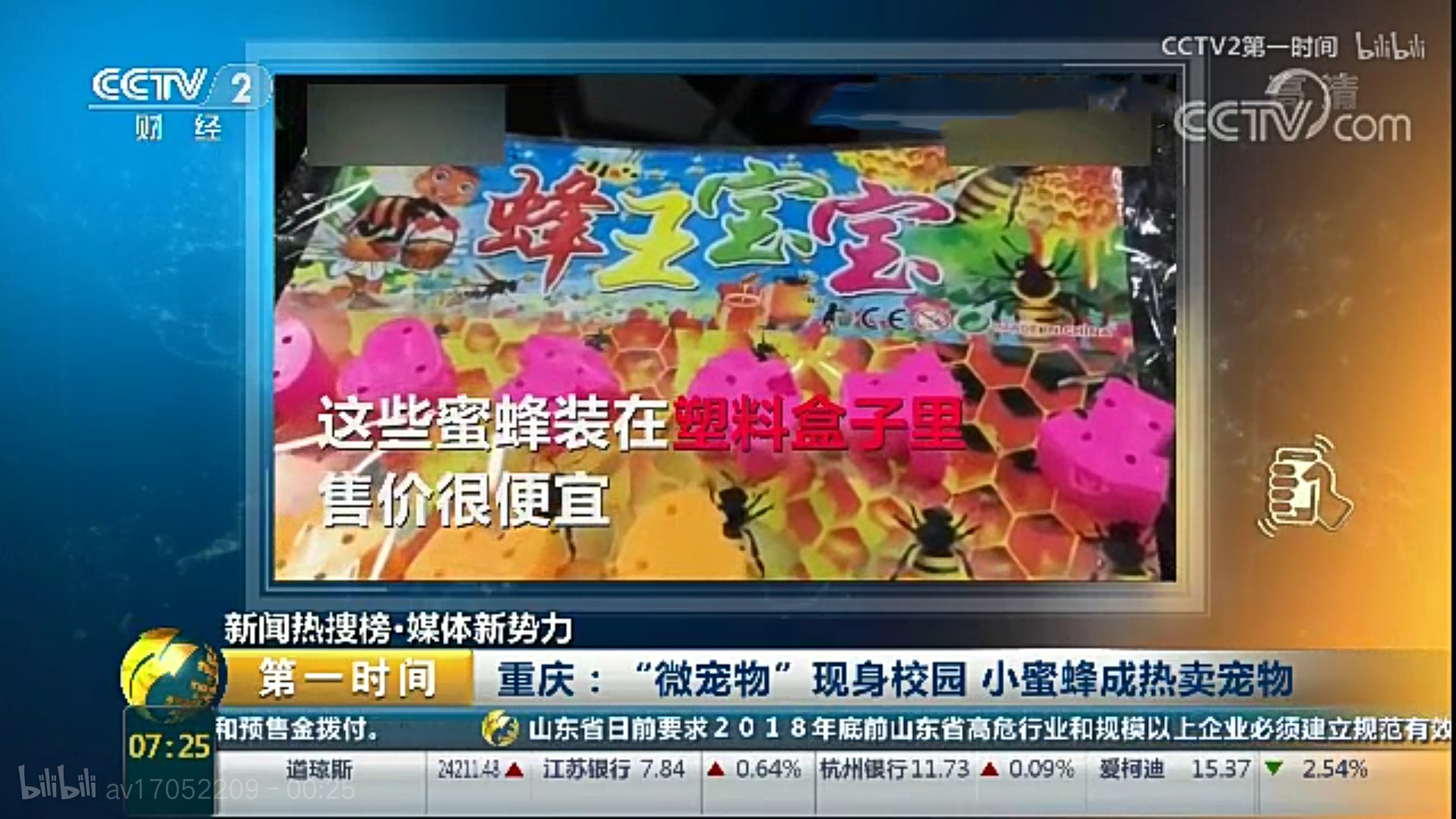 盘点小学生在学校里养的奇葩宠物,小学生小型宠物10元以下