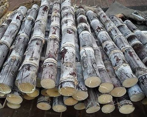 孕妇能吃甘蔗吗会有影响吗,孕期能吃甘蔗煲的汤吗