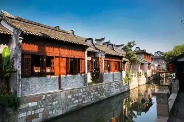 万万没想到！它低调了450多年，却因上海迪士尼一夜间火遍全国！