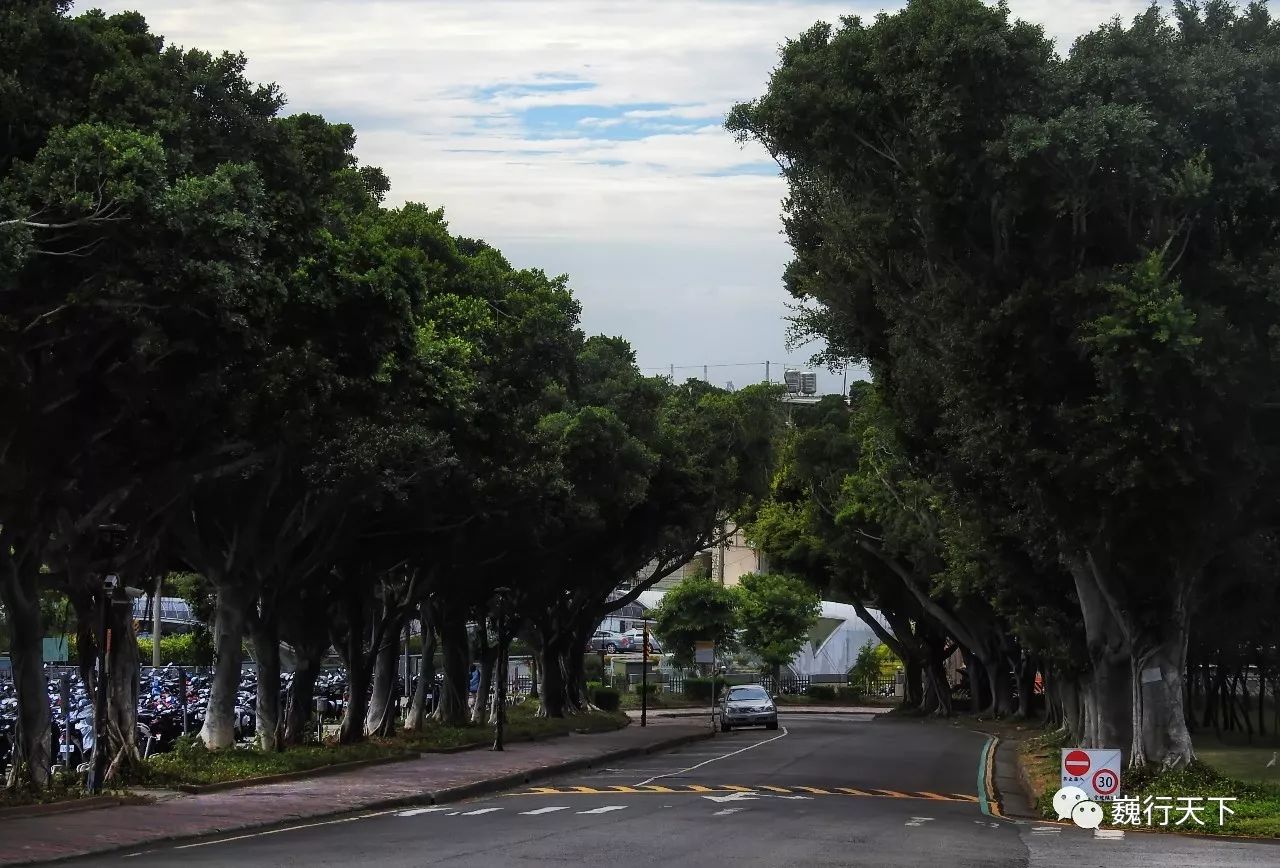 这所大学很特别，来的人都会找到逝去的校园爱情故事