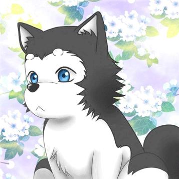 盘点全网十大网红狗狗,盘点电影中的十大狗狗明星