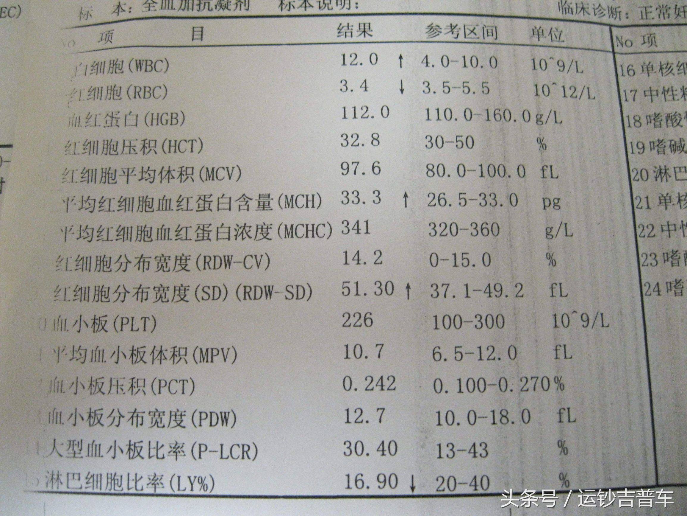 血液报告单标*号什么意思,血液化验单各项符号代表什么