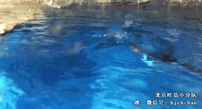 超全的香港吃喝玩乐指南!去玩的先马住~