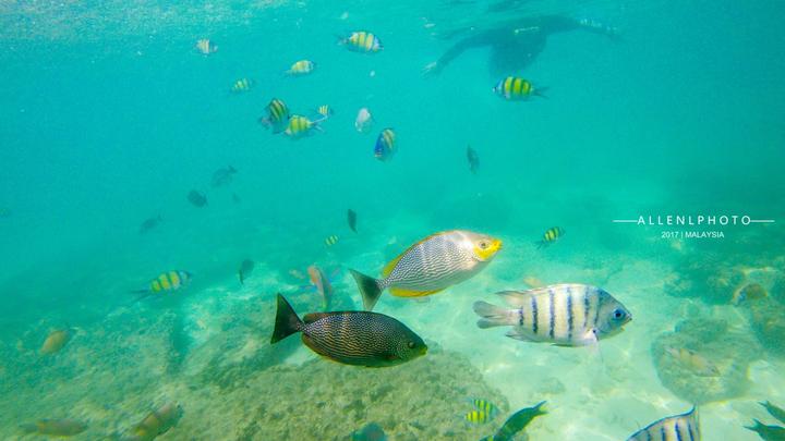 兰卡威环岛游玩攻略,兰卡威自驾环岛一圈多少时间