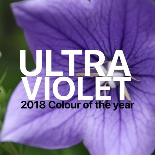 2017-2021近三年流行色,秋冬这5个流行色时髦又显高级感