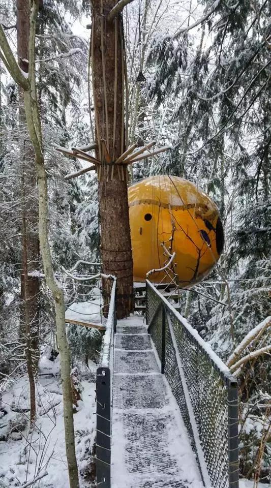 加拿大外星酒店,国外外星酒店