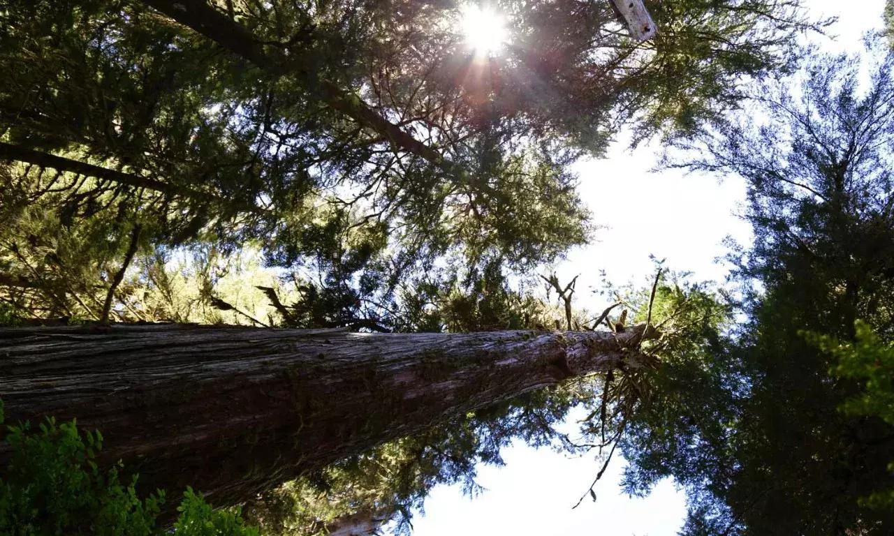 加拿大外星酒店,国外外星酒店