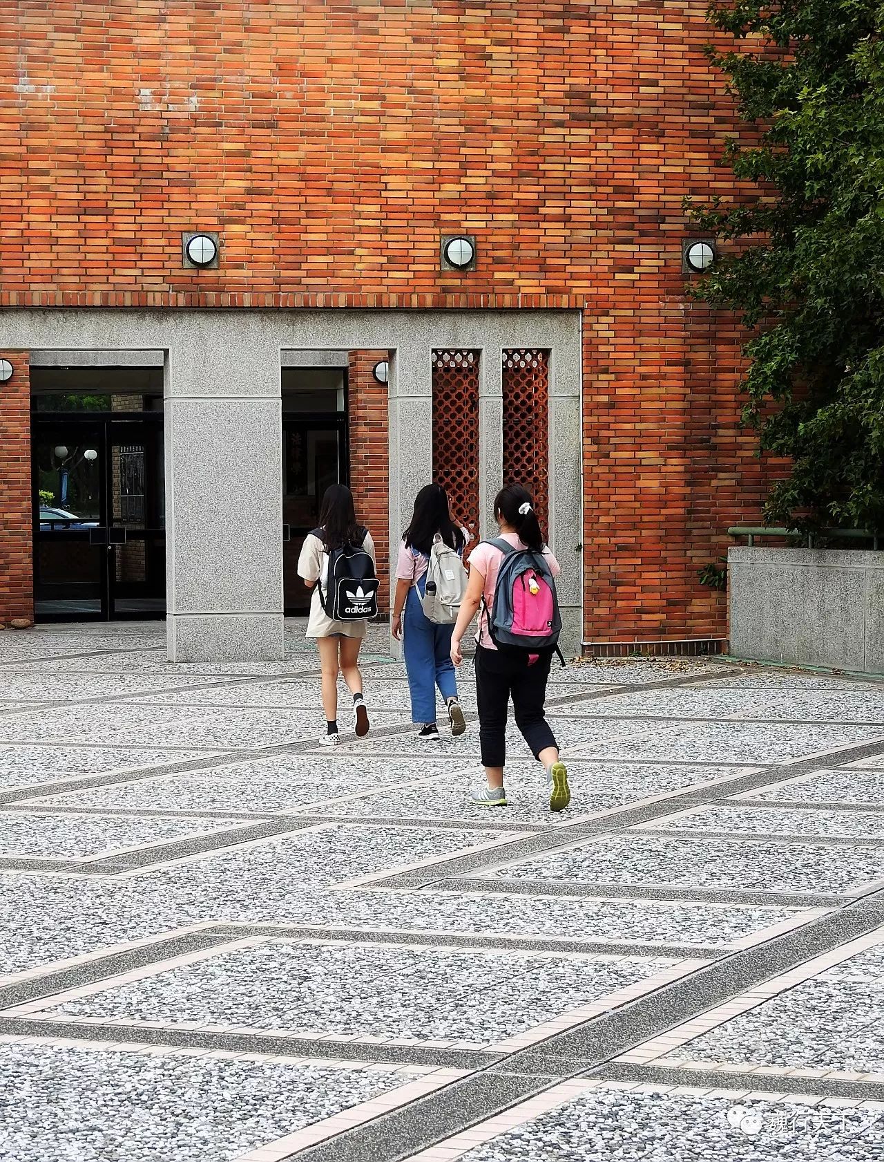 这所大学很特别，来的人都会找到逝去的校园爱情故事