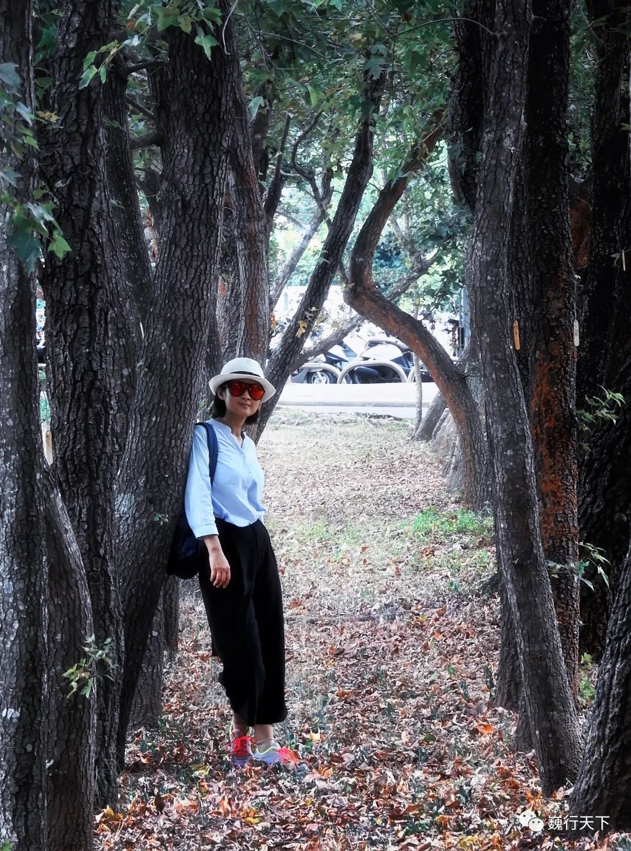 这所大学很特别，来的人都会找到逝去的校园爱情故事