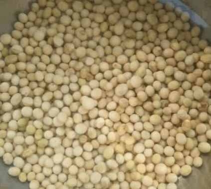 黄豆怎么做好下酒,怎么样做黄豆更香脆