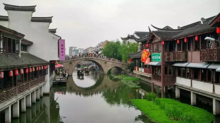 万万没想到！它低调了450多年，却因上海迪士尼一夜间火遍全国！