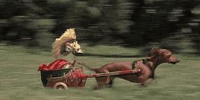 万万没想到！它低调了450多年，却因上海迪士尼一夜间火遍全国！