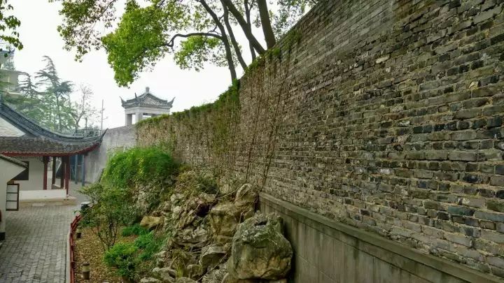 万万没想到！它低调了450多年，却因上海迪士尼一夜间火遍全国！