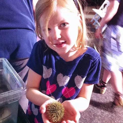 加拿大外星酒店,国外外星酒店