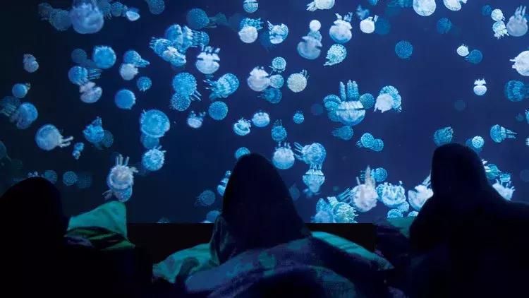 加拿大外星酒店,国外外星酒店