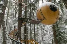 加拿大外星酒店,国外外星酒店