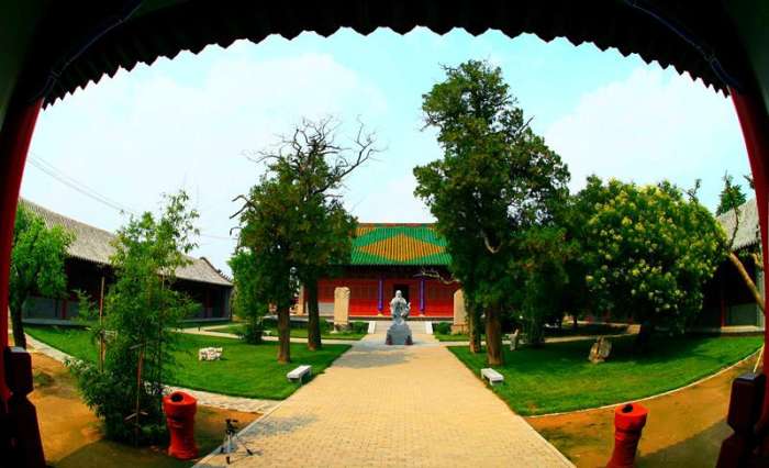 乐陵市金丝小枣批发市场,乐陵市朱集镇金丝小枣