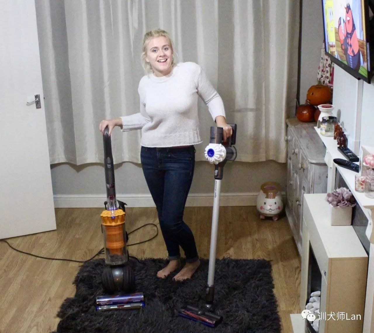 家中有跳蚤用什么杀虫剂能除掉,家中跳蚤怎么消灭最快又安全有效