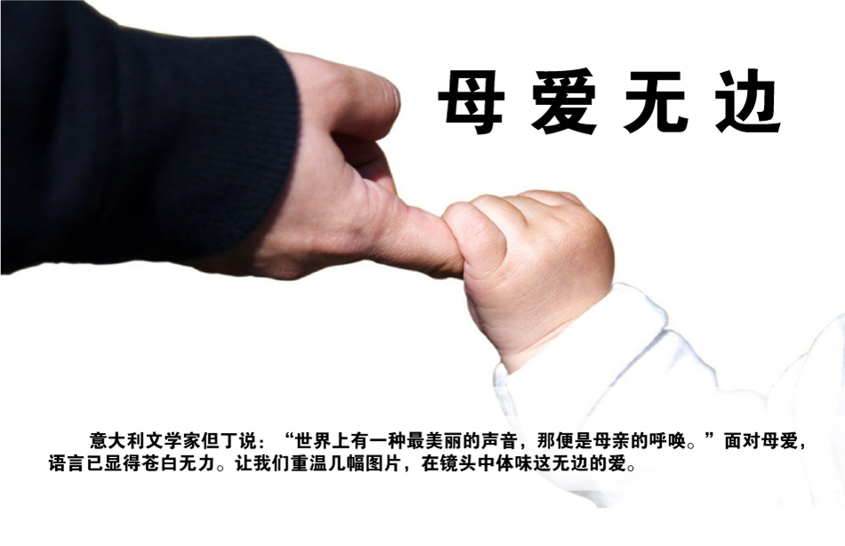 母爱的伟大感人落泪视频真实,感人母爱真实事件