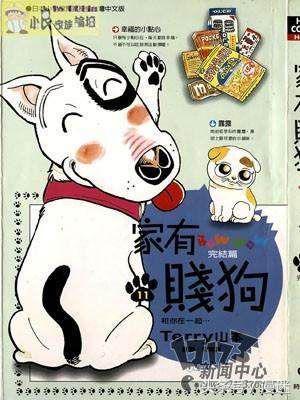 盘点全网十大网红狗狗,盘点电影中的十大狗狗明星