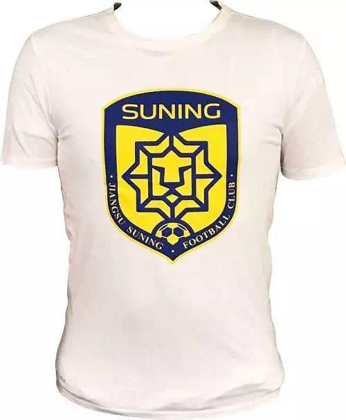 江苏苏宁冠军名册,江苏苏宁颁奖个人奖