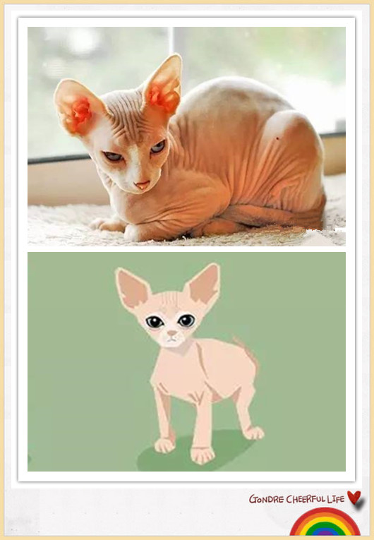 猫咪插画手绘图片,各种猫咪萌化图片