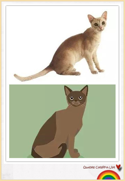 猫咪插画手绘图片,各种猫咪萌化图片