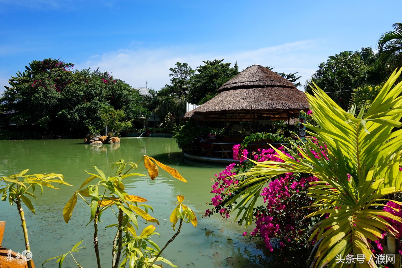 越南芽庄介绍,越南芽庄之旅文案
