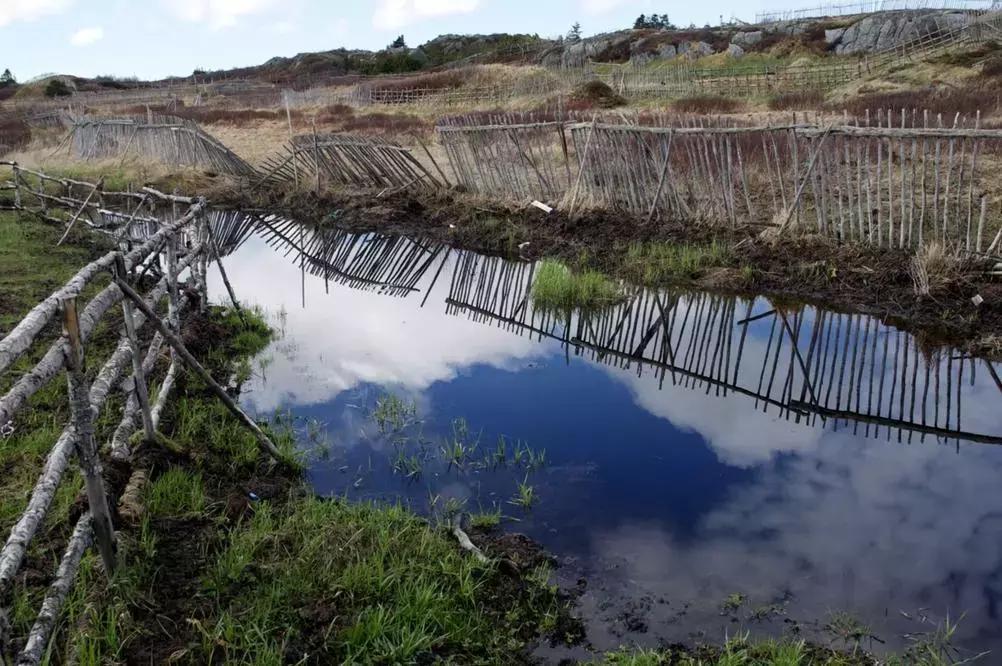 加拿大外星酒店,国外外星酒店