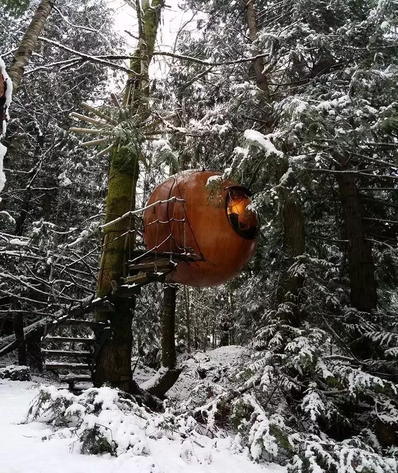 加拿大外星酒店,国外外星酒店