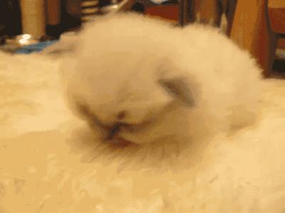 那些3块8毛9一盒的面膜靠谱吗,4元一片的面膜怎么样