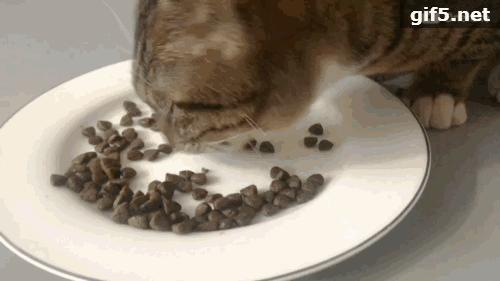 海洋之星质量好吗,海洋之星新品测评