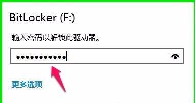 windows10家庭版如何给磁盘加密,windows10系统怎么给电脑加密